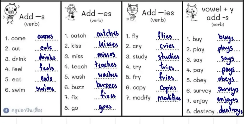 Add -s AdC -eS o9- Add -ies ... | ดูวิธีการแก้ปัญหาได้ที่ QANDA